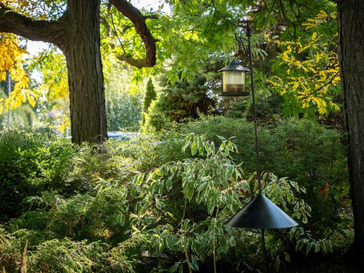 Aménagement de jardins La Prairie